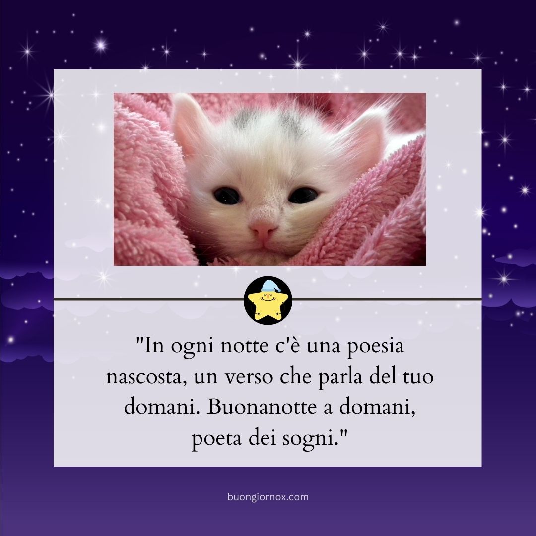 frasi e immagini buonanotte a domani