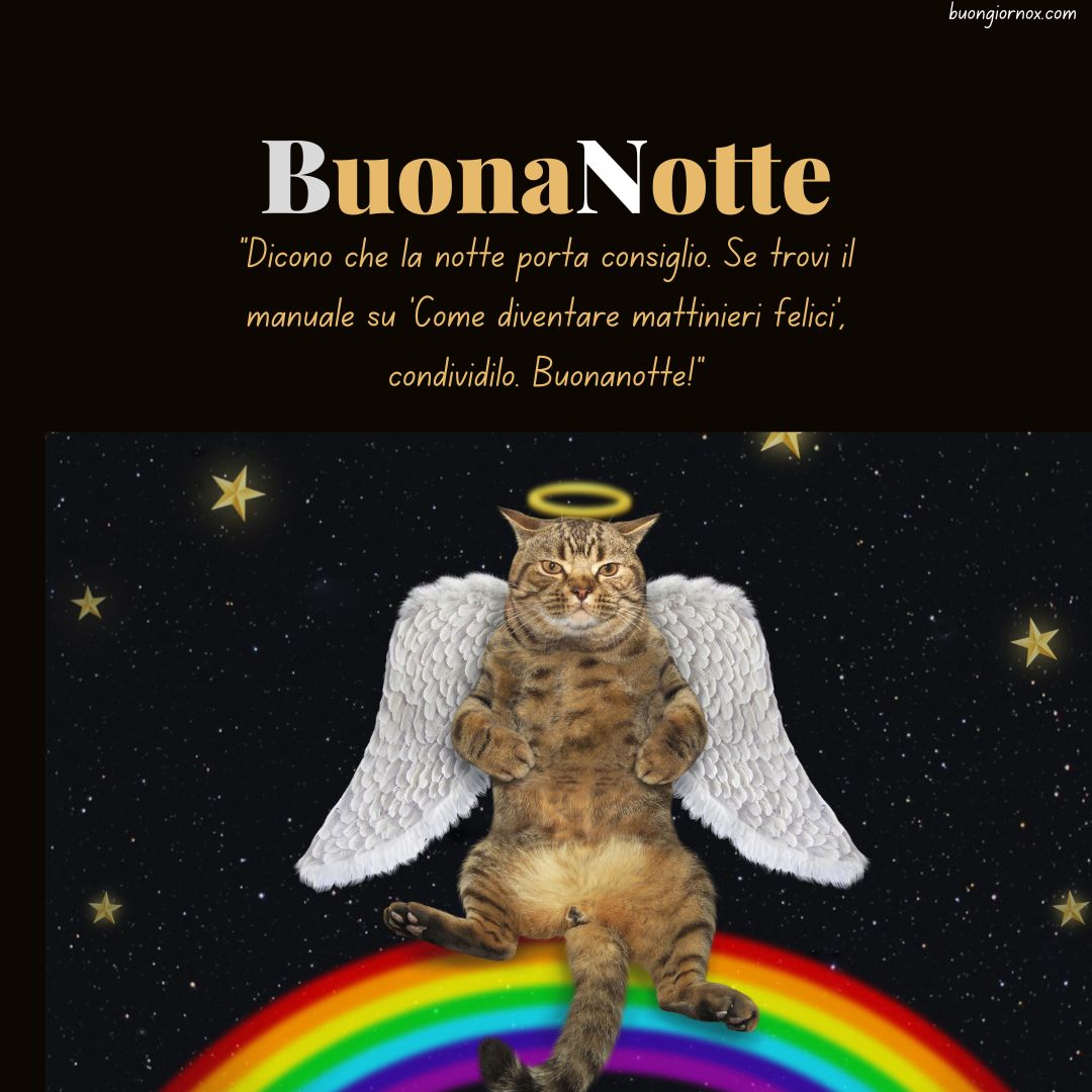immagini buonanotte a domani divertenti