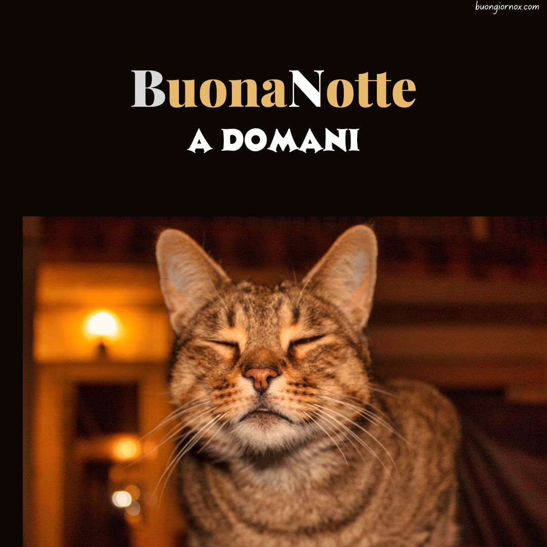 immagini buonanotte a domani nuove