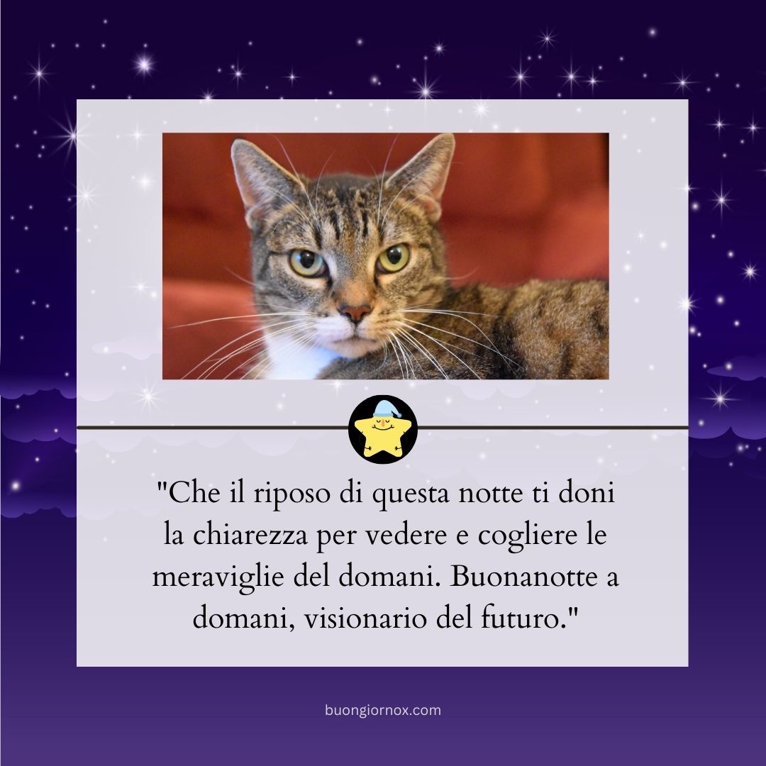 immagini buonanotte a domani pinterest