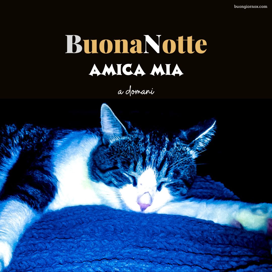 immagini buonanotte amica mia a domani