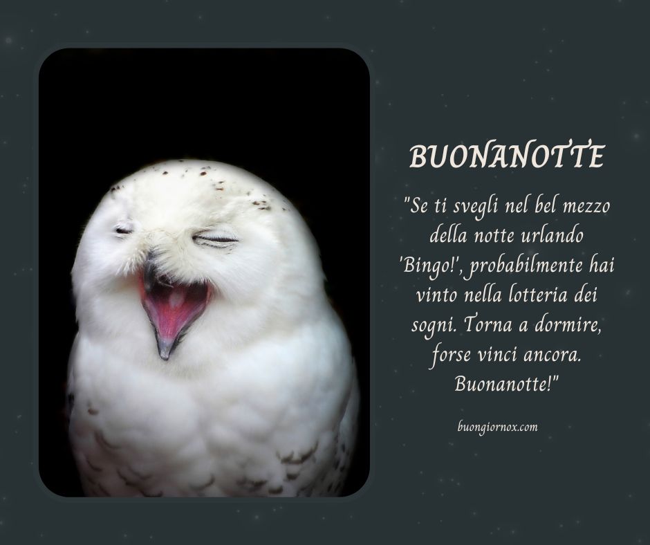 immagini buonanotte belle nuove e divertenti