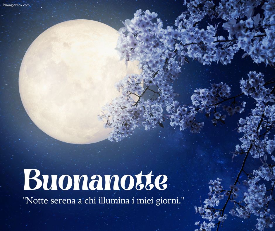 immagini buonanotte belle