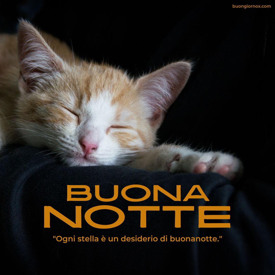 immagini buonanotte bellissime
