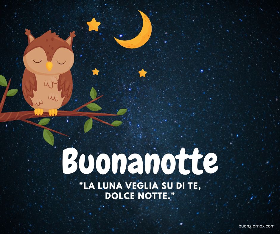 immagini buonanotte buon riposo