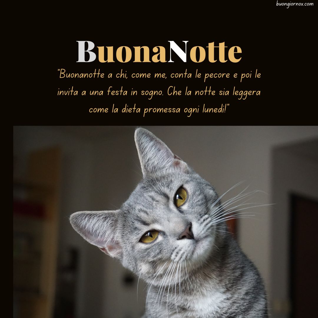 immagini buonanotte divertenti nuovissime