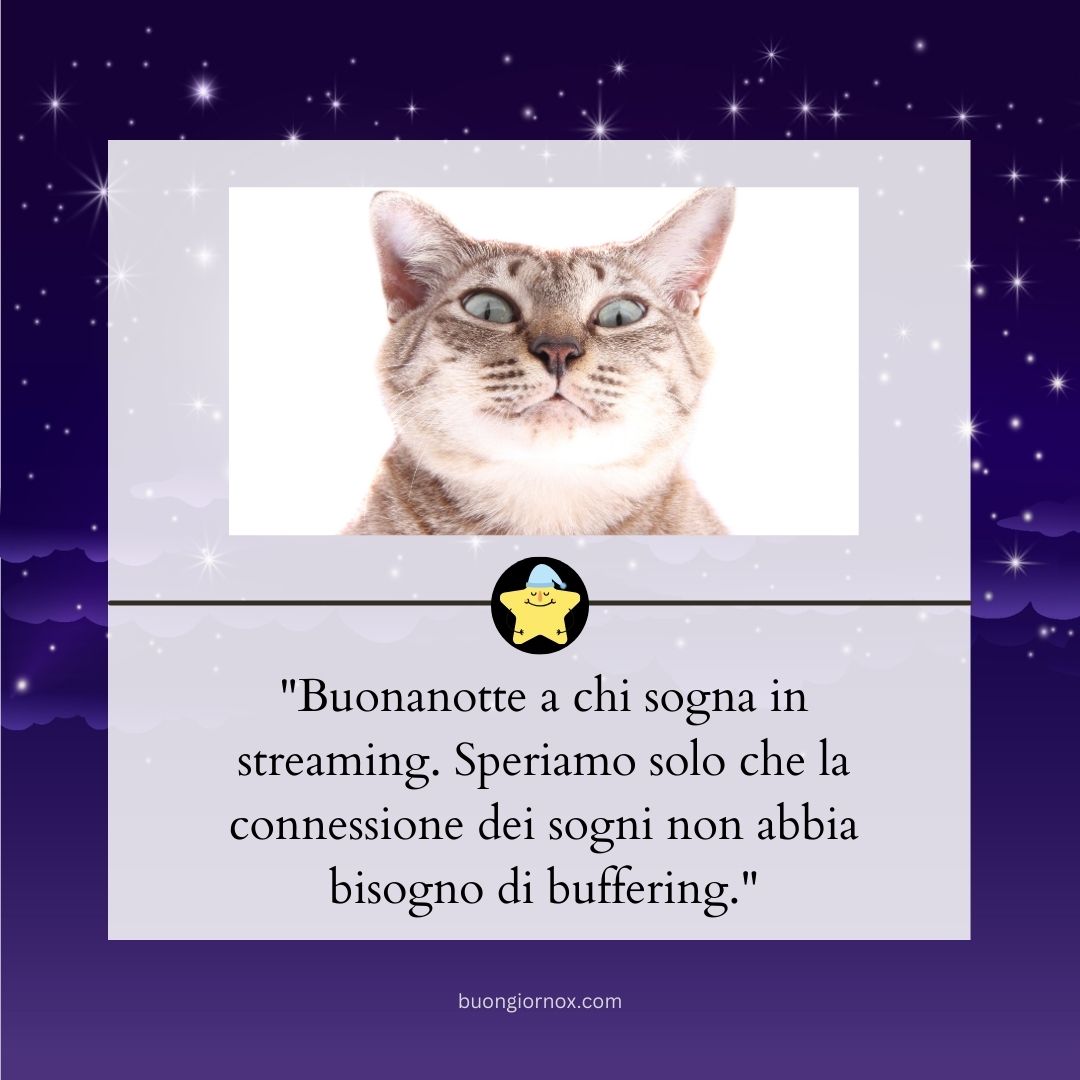 immagini buonanotte e sogni d'oro divertenti