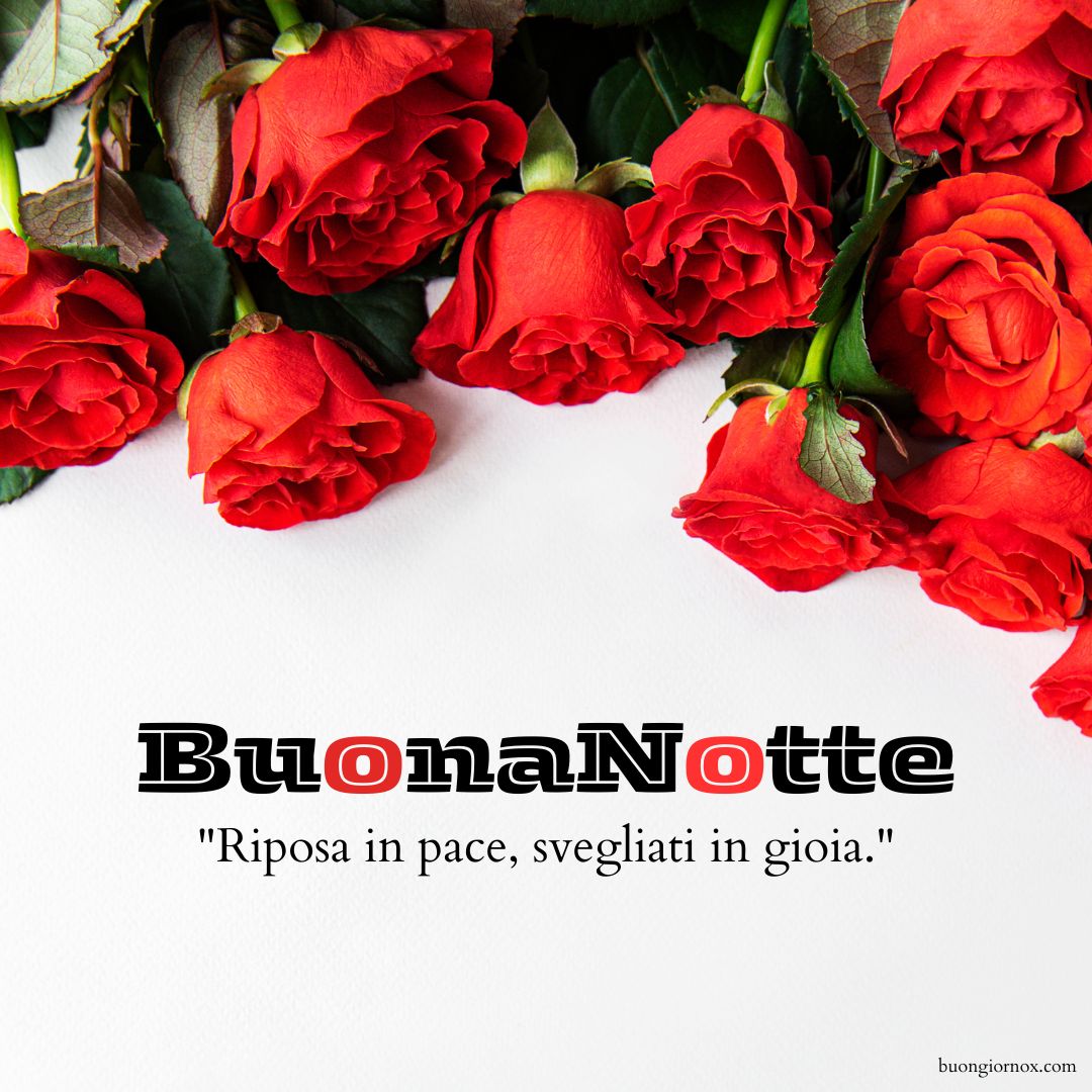 immagini buonanotte fiori