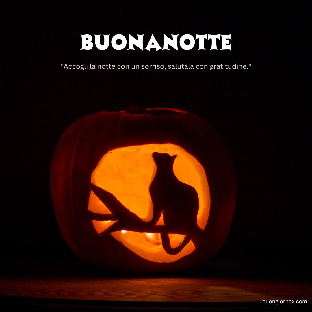immagini buonanotte gatti