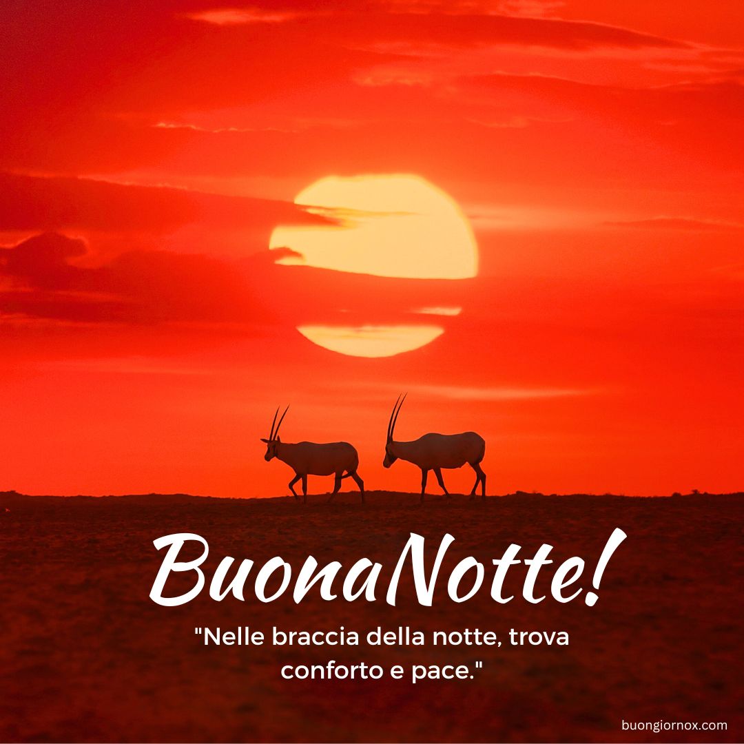 immagini buonanotte tenere