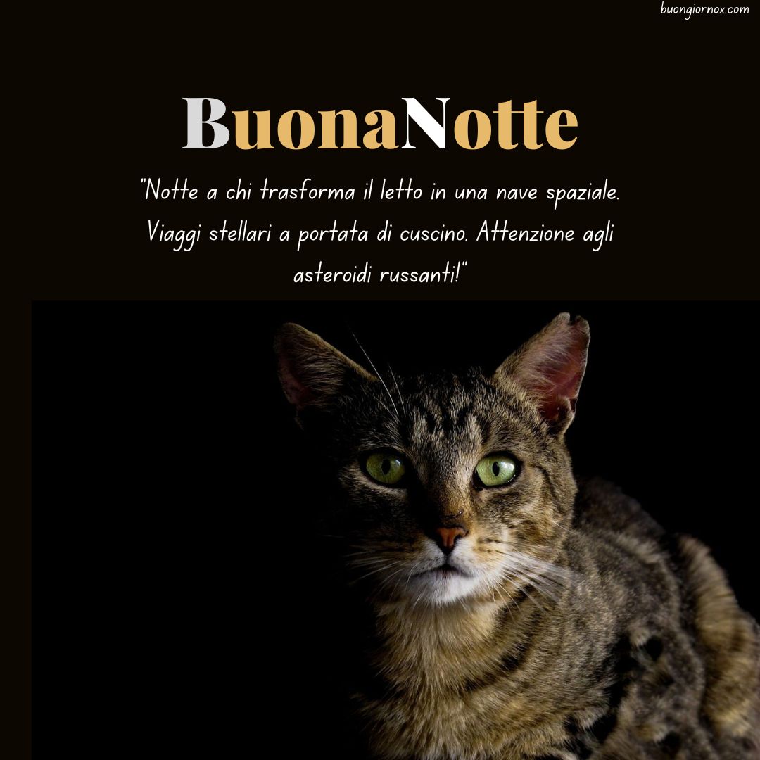 immagini della buonanotte divertenti