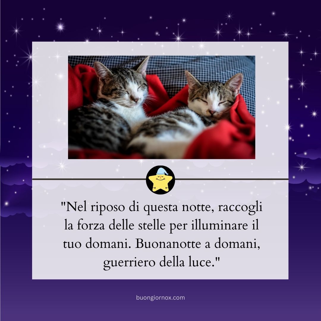 immagini di buonanotte a domani