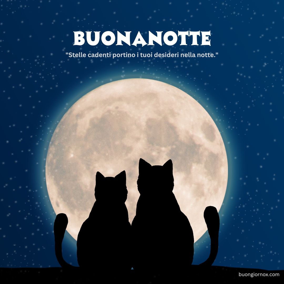 immagini dì buonanotte