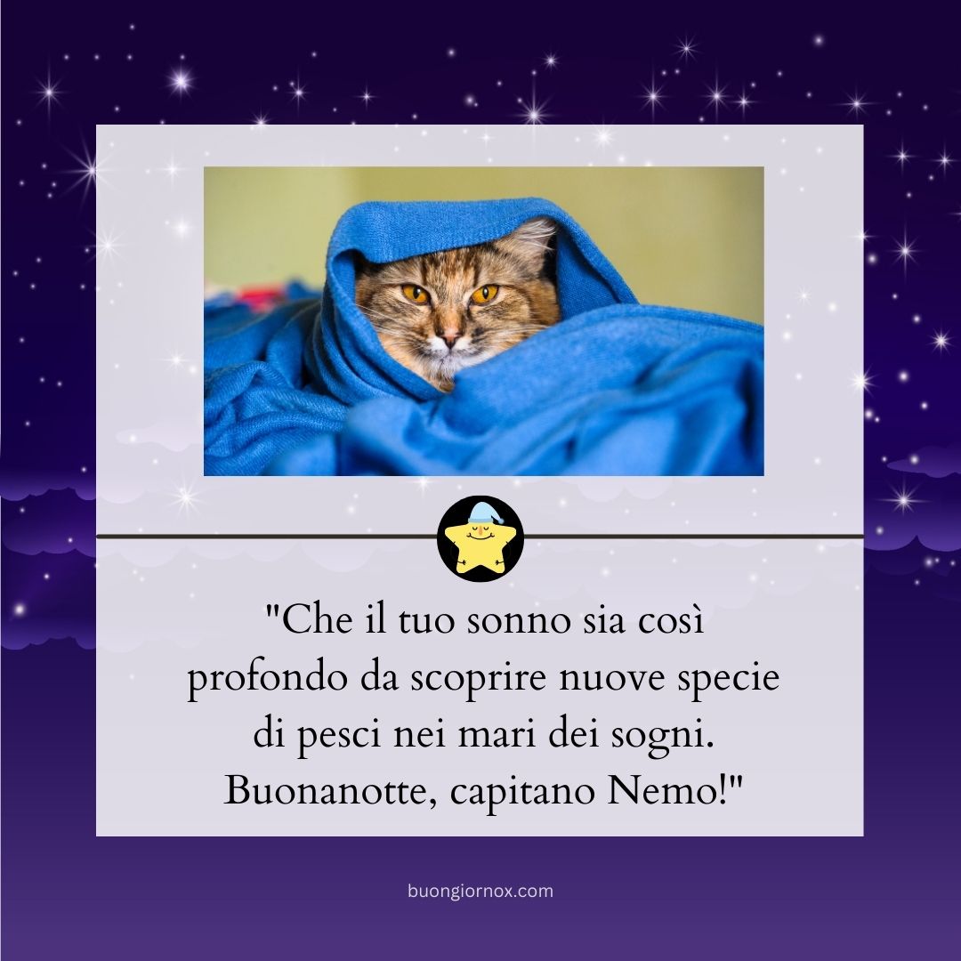 immagini divertenti buonanotte gatti
