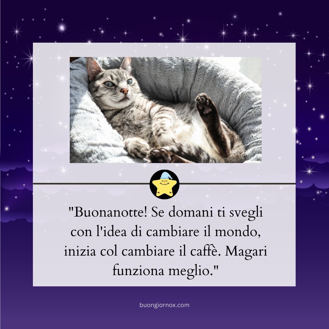 immagini divertenti buonanotte whatsapp immagini comiche italiane