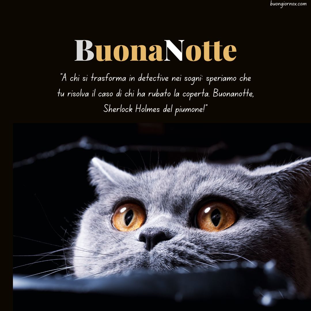 immagini divertenti buonanotte