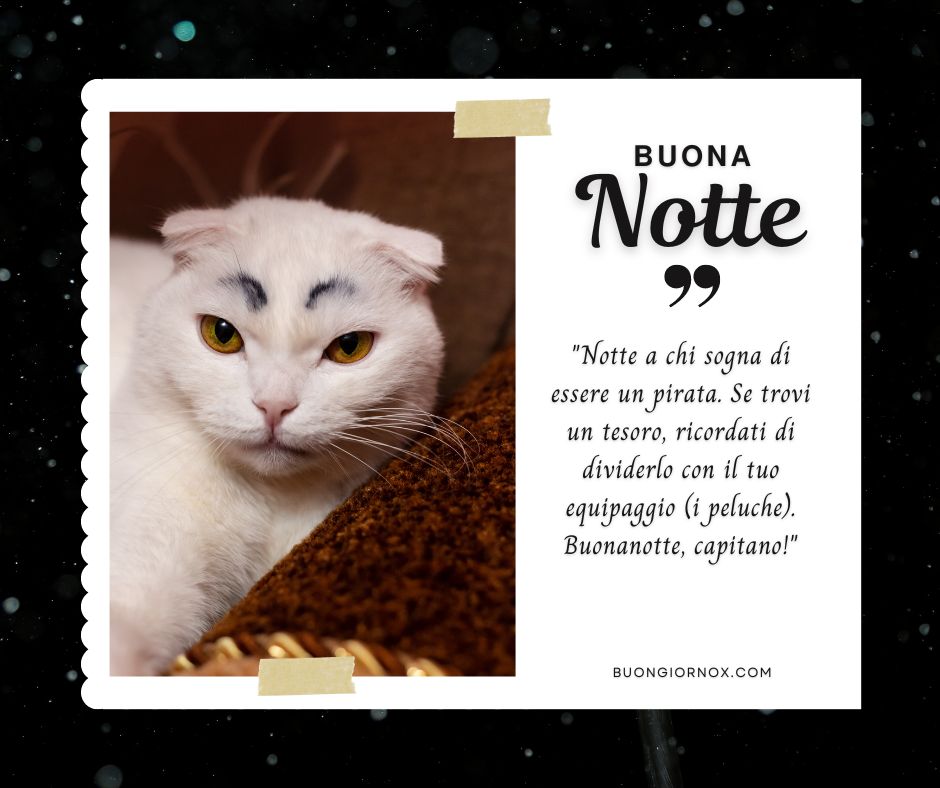 immagini divertenti con la buonanotte