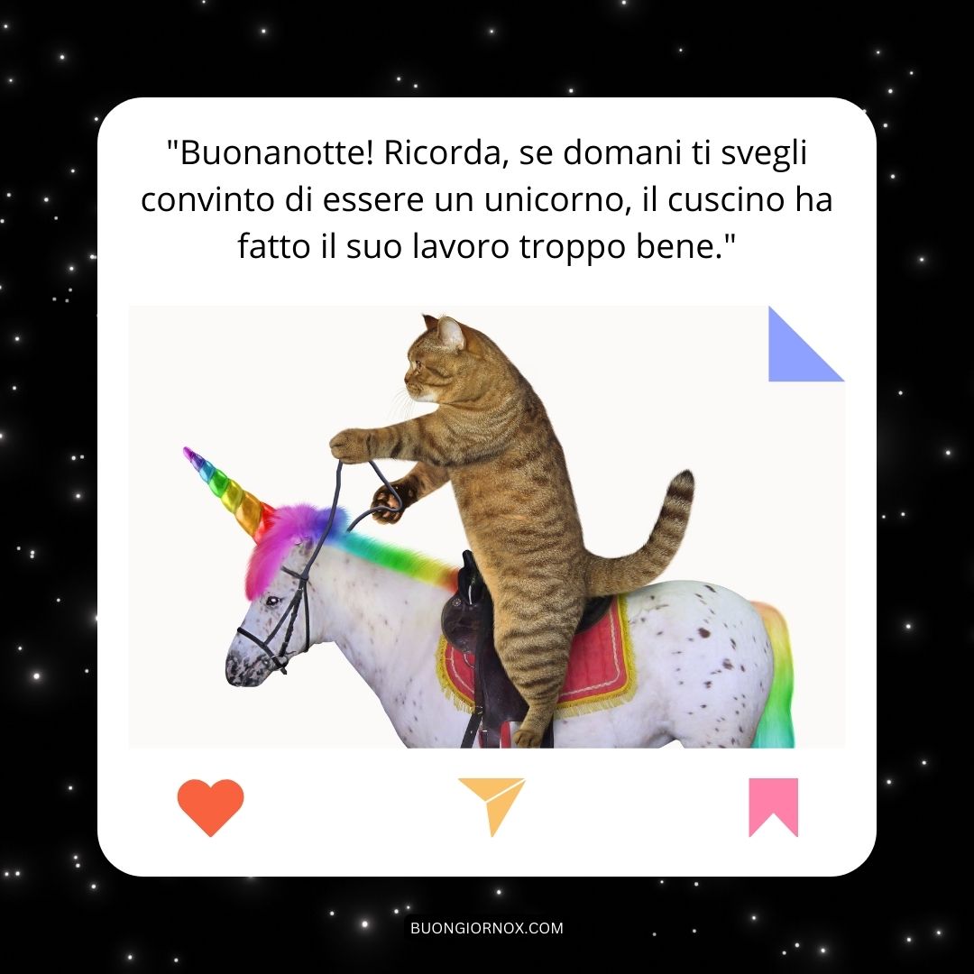 immagini divertenti di buonanotte con animali