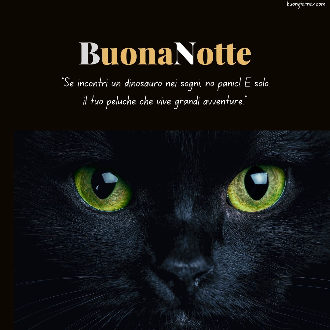 immagini frasi buonanotte divertenti