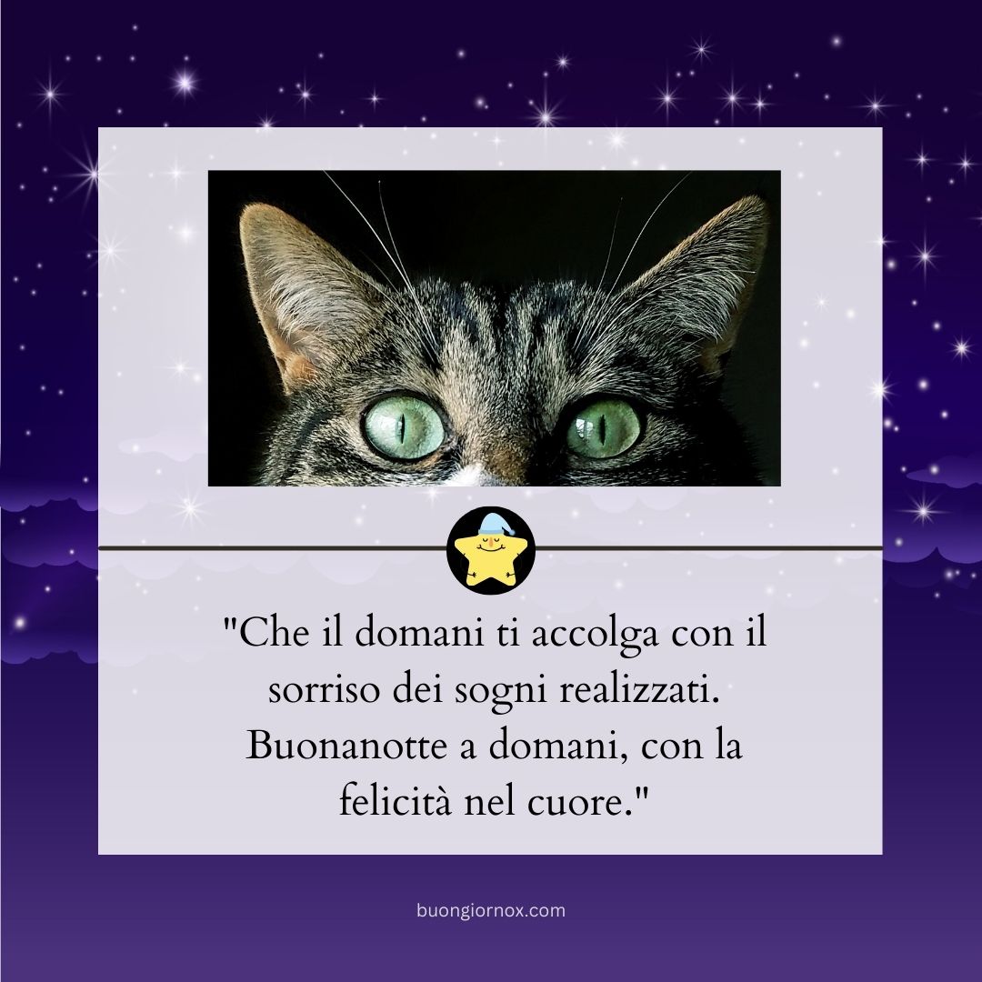 immagini nuove instagram bellissime buonanotte a domani