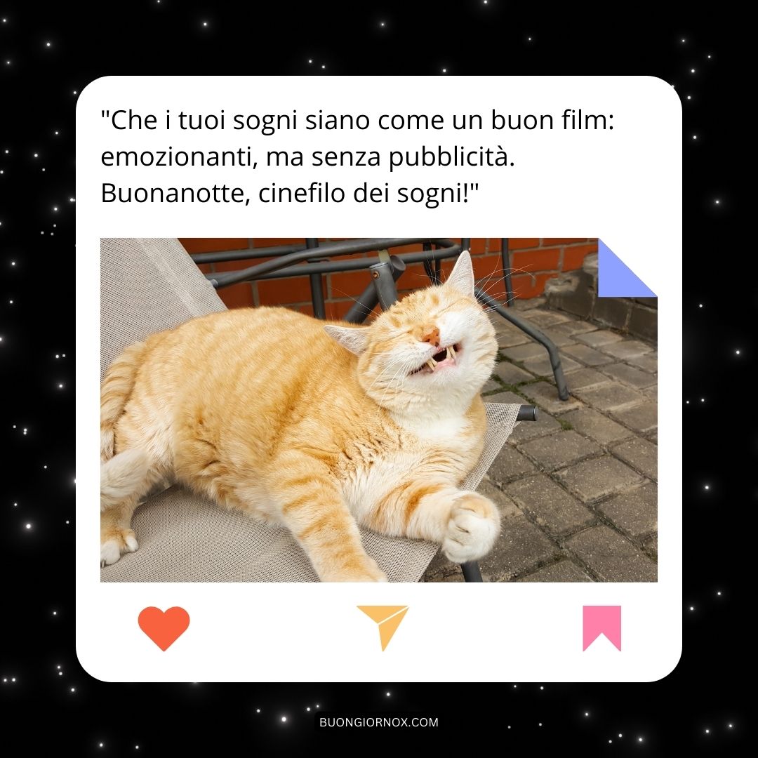 immagini per la buonanotte divertenti