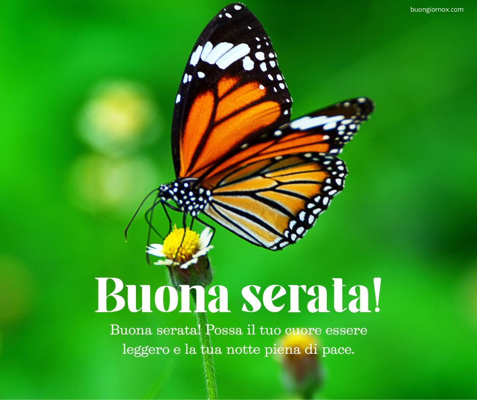 immaginiwhatsapp stupenda buona serata immagini bellissime