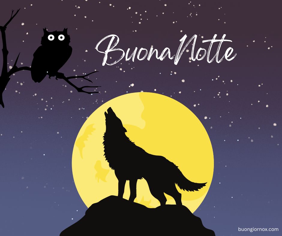 notte immagini buonanotte
