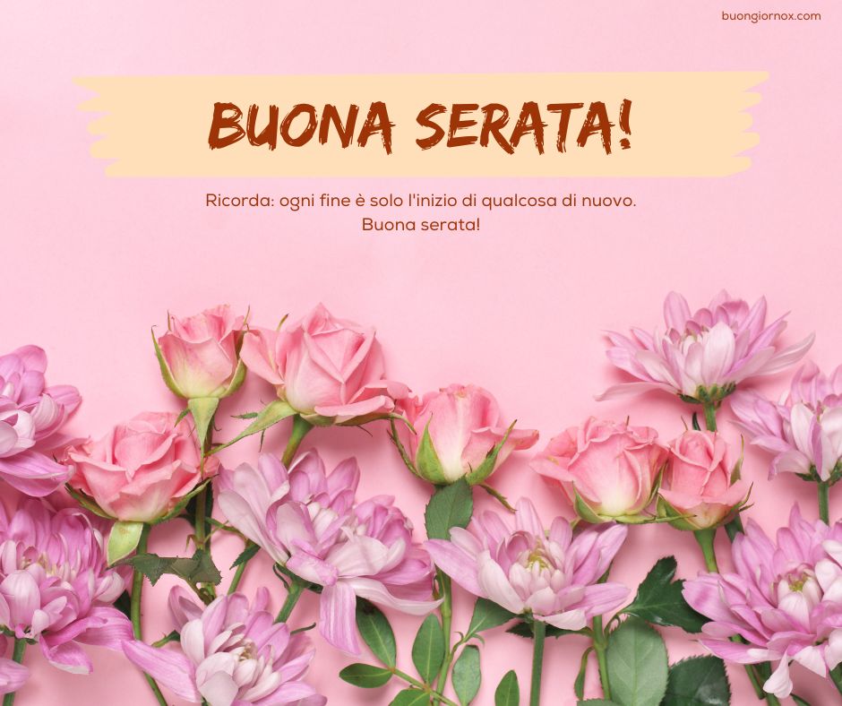 stupenda spiritose stupenda buona serata immagini bellissime