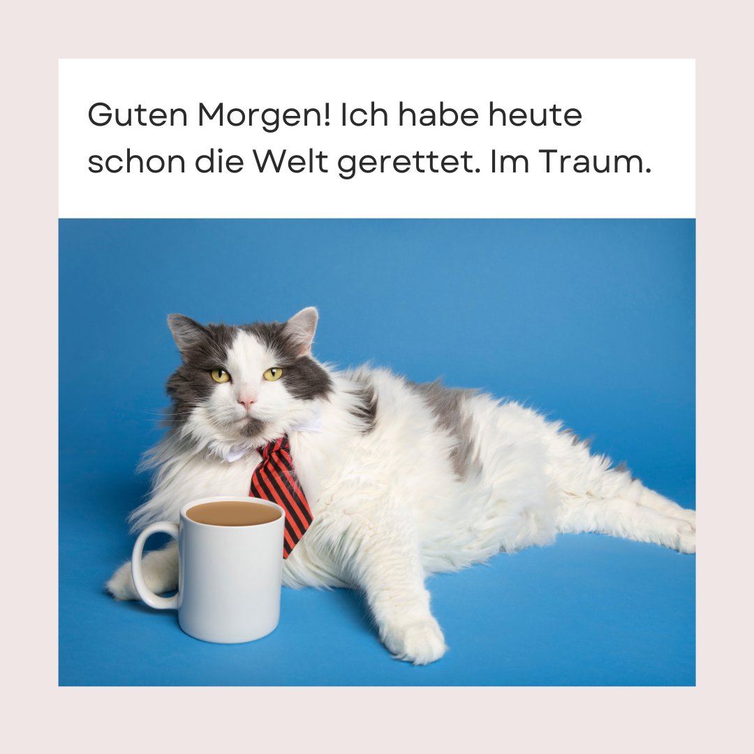100+ Guten Lustig Heitere Sprüche und Bilder