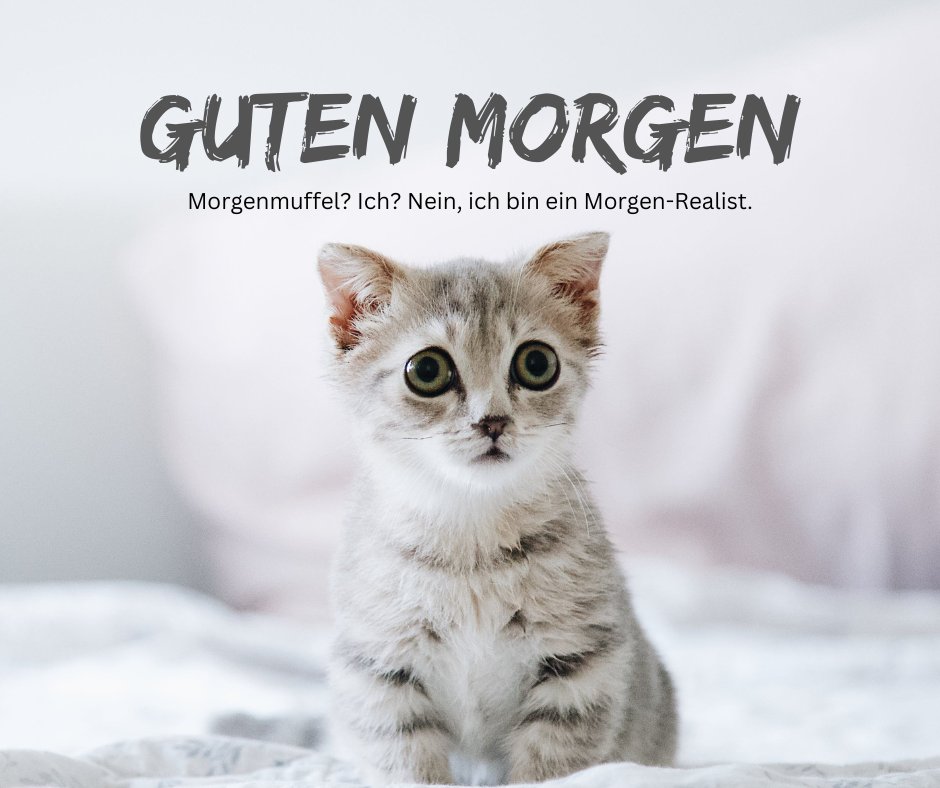 100+ Guten Lustig Heitere Sprüche und Bilder