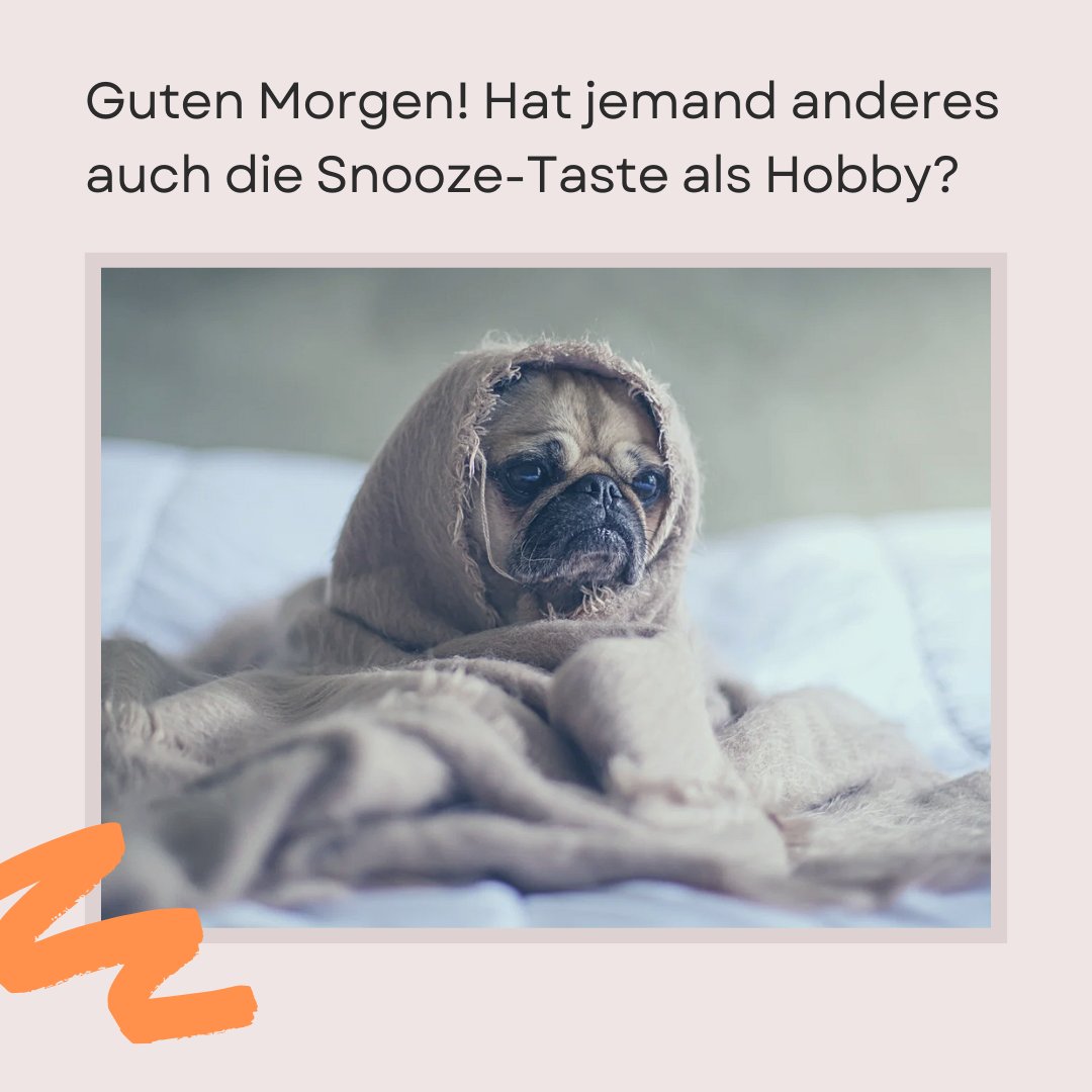 100+ Guten Lustig Heitere Sprüche und Bilder