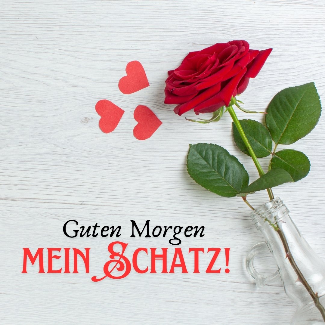 Einen Wunderschönen Guten Morgen Mein Schatz 100+ Guten Morgen Mein Schatz Bilder und Sprüche