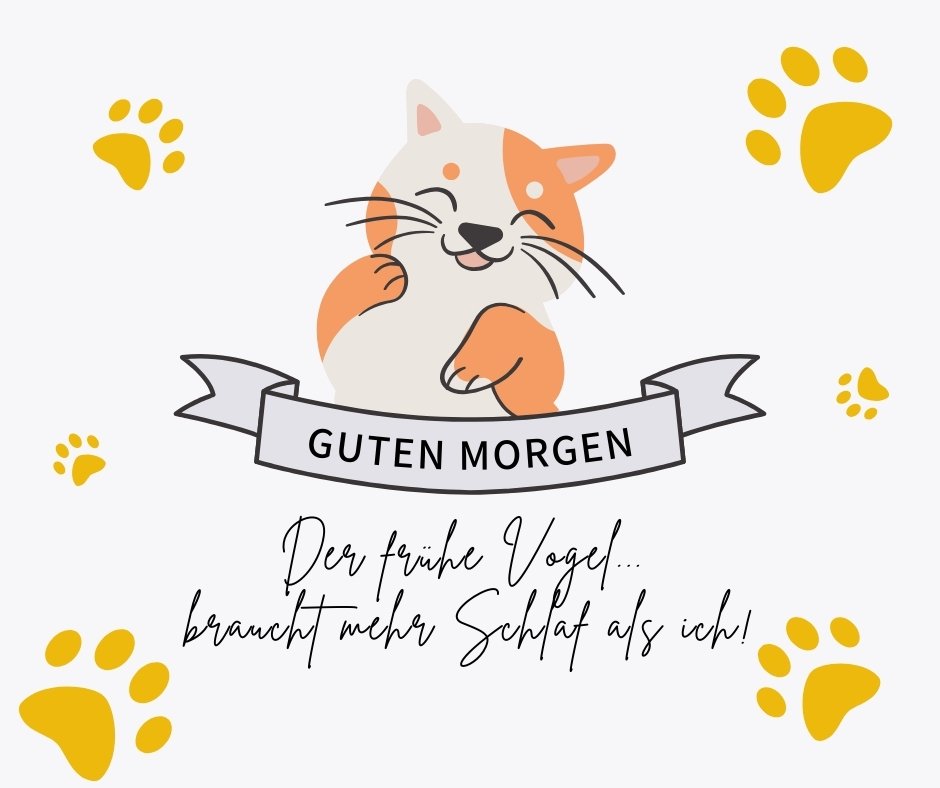 60+ Guten Katze Bilder Aufwachen mit Miau