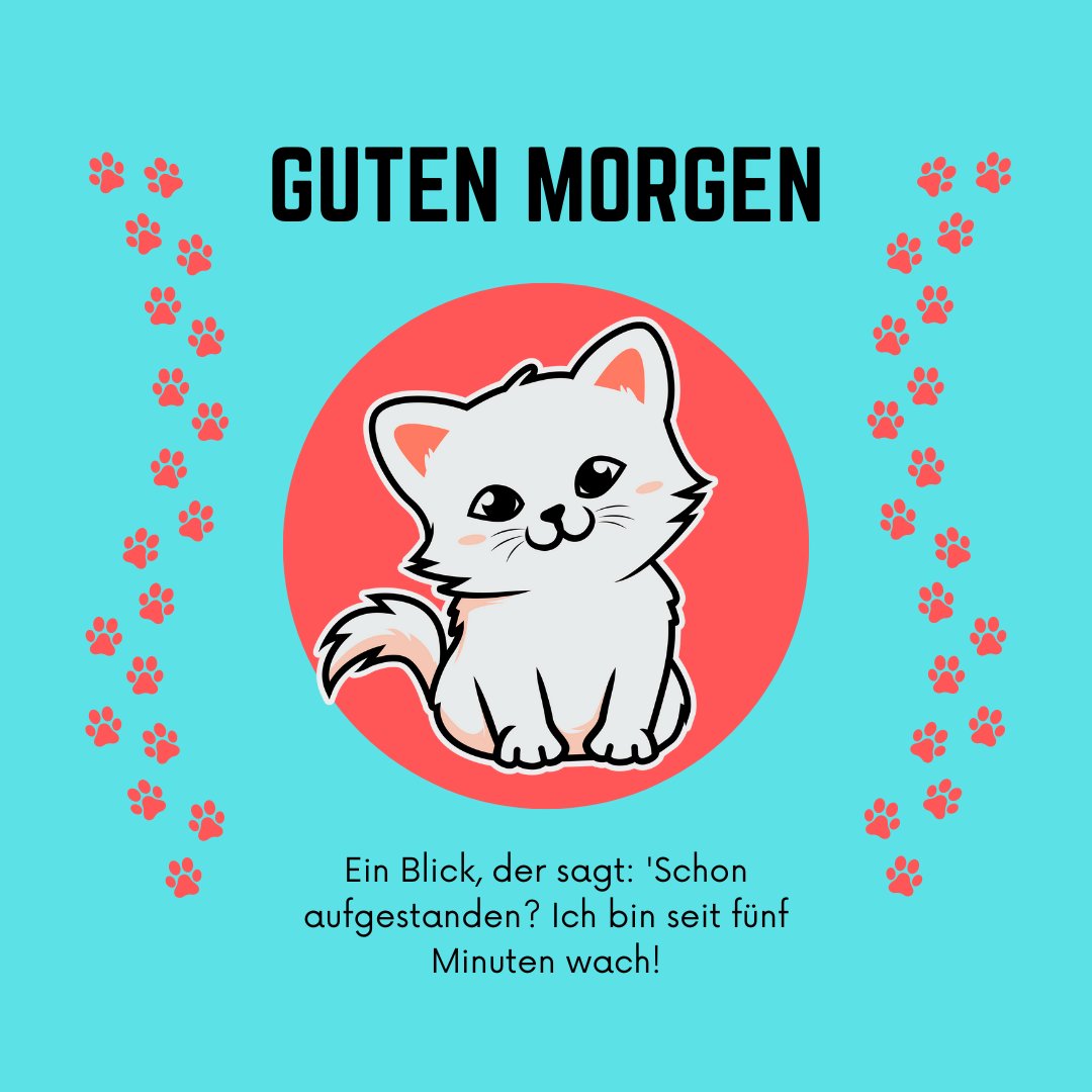 60+ Guten Katze Bilder Aufwachen mit Miau