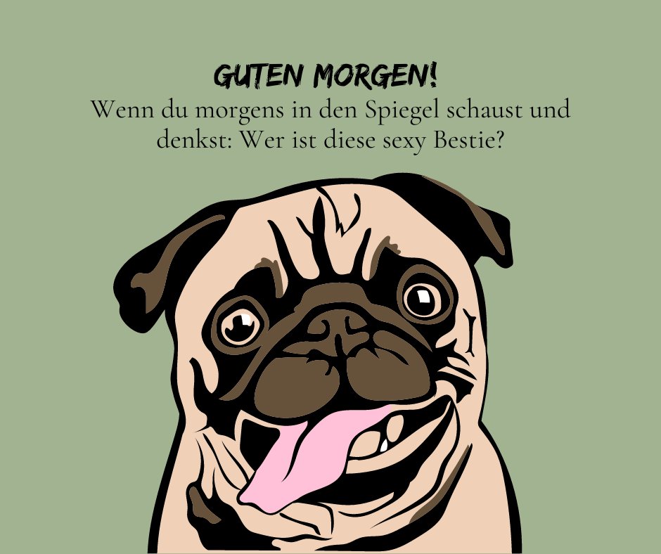 50+ Guten Morgen Hund Lustig: Lustige Hundebilder