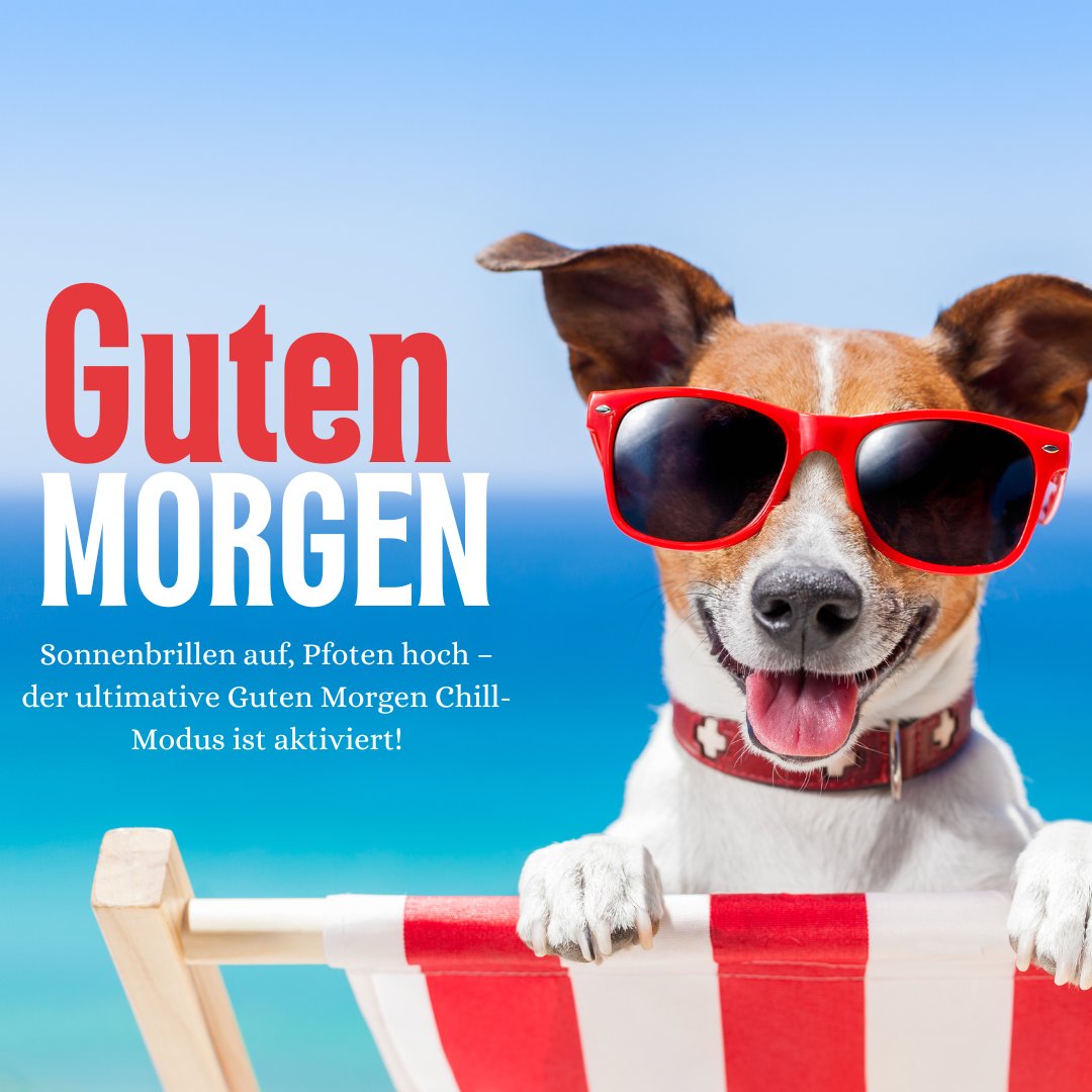 50+ Guten Hund Lustig Lustige Hundebilder
