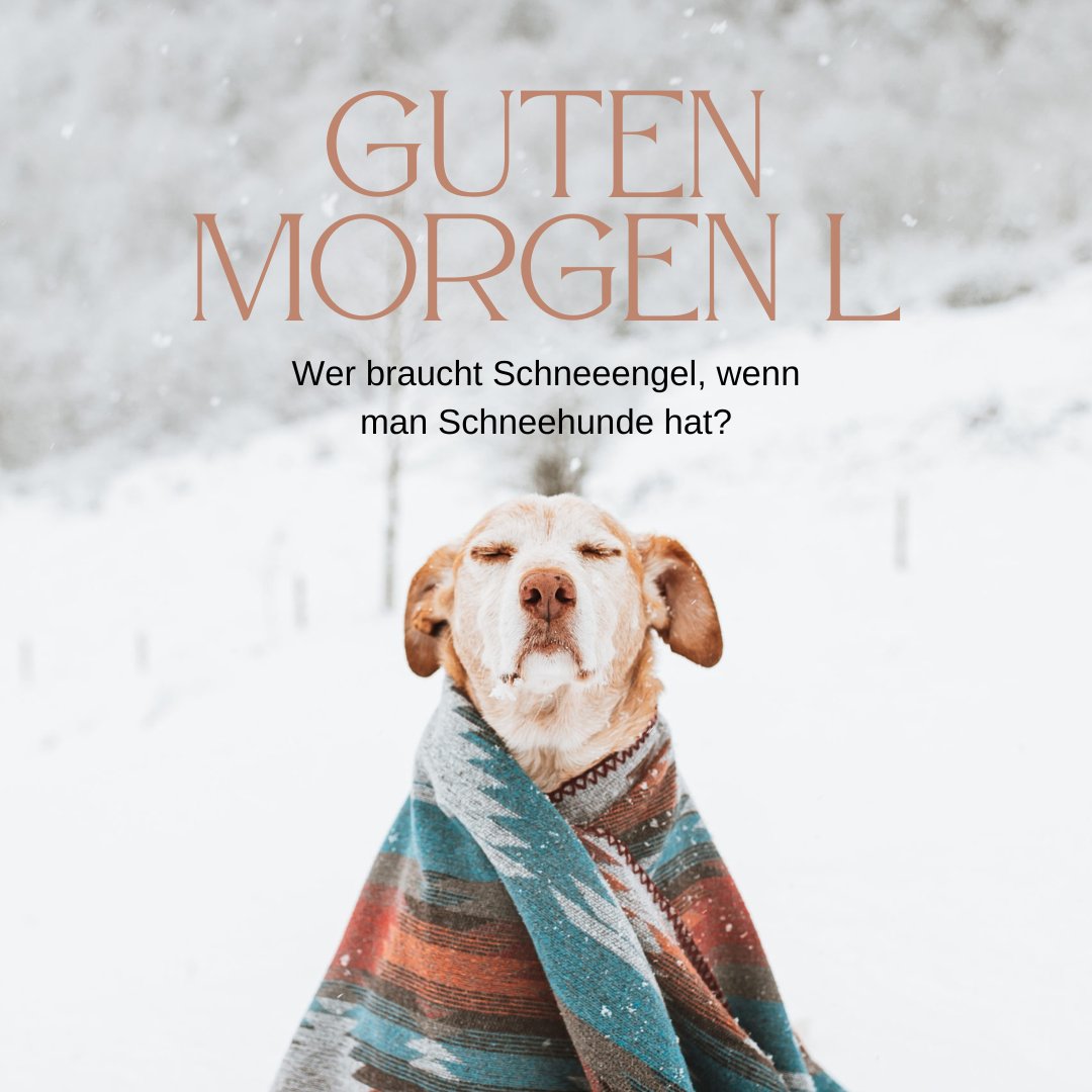 50+ Guten Hund Lustig Lustige Hundebilder