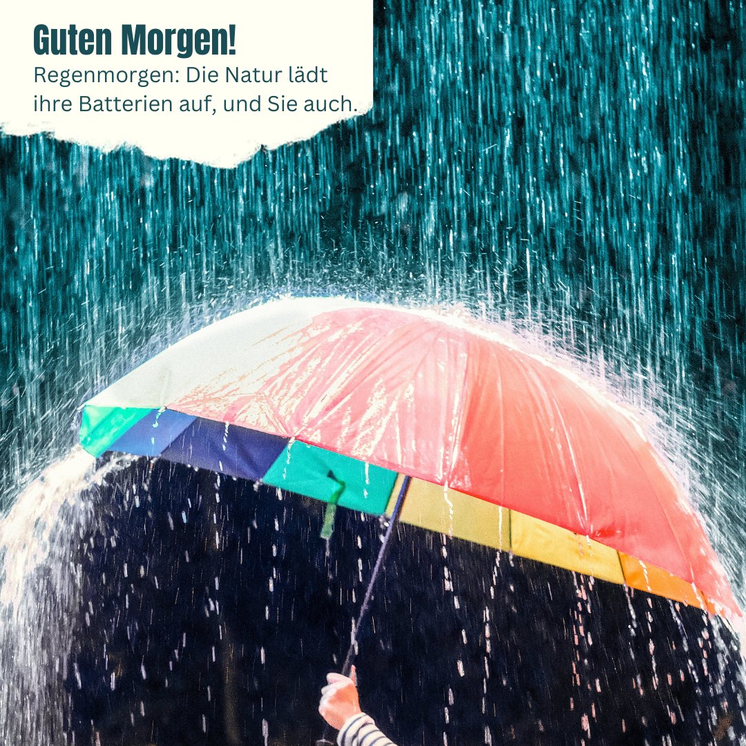 100+ Guten Regen Bildern, Sprüchen und Grüßen