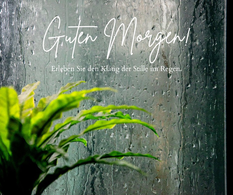 100+ Guten Regen Bildern, Sprüchen und Grüßen