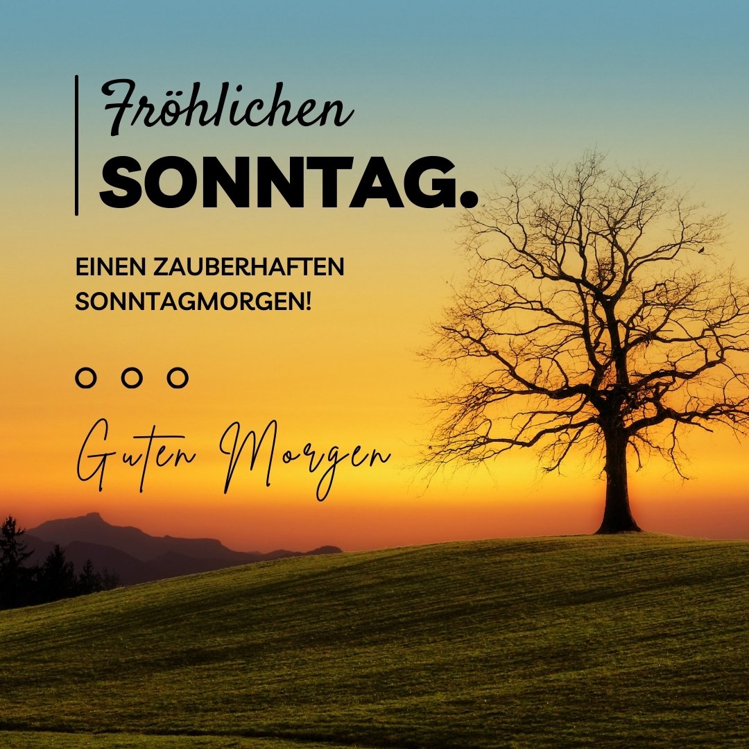 Guten Morgen Schönen Sonntag Bilder Kostenlos 110+ Guten Morgen Sonntag Bilder: Erholsame Grüße
