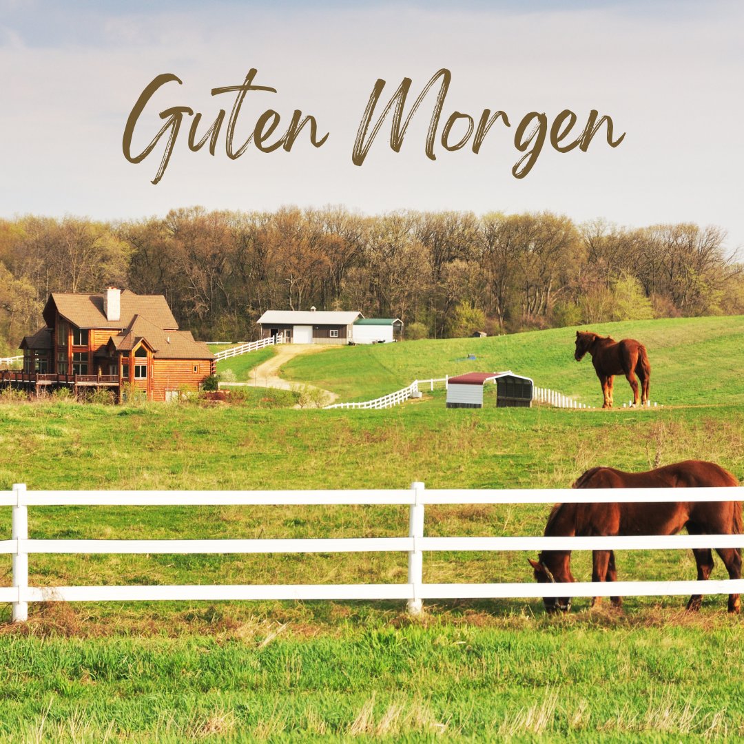 50+ Tiere Niedliche Guten Bilder Süße Startbilder