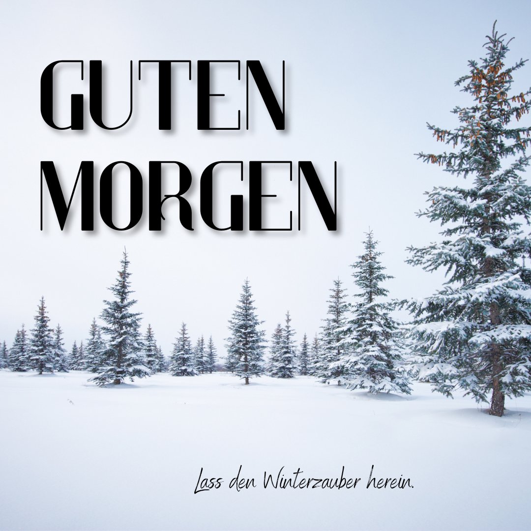 100+ Winterliche Guten Bilder, Sprüche und Grüße
