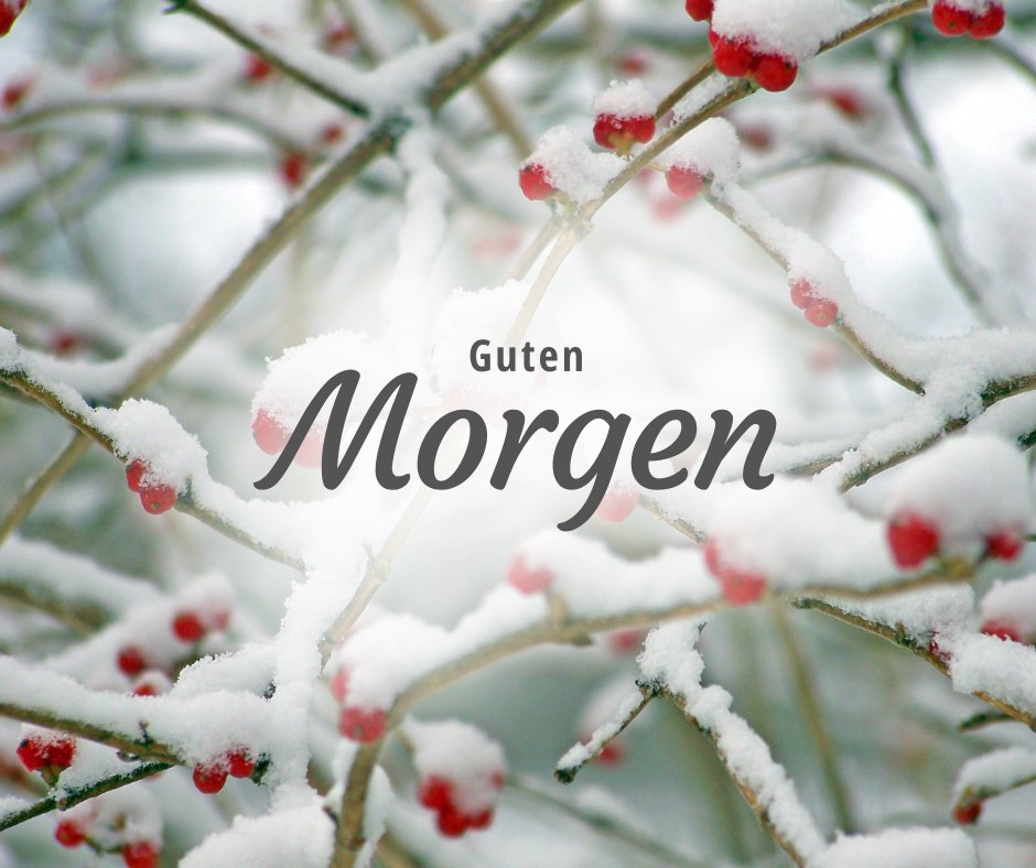 100+ Winterliche Guten Bilder, Sprüche und Grüße