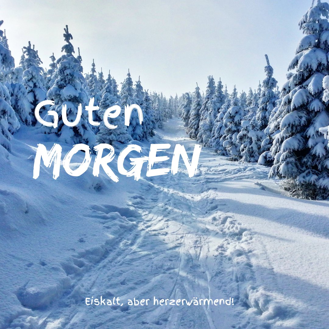 100+ Winterliche Guten Bilder, Sprüche und Grüße