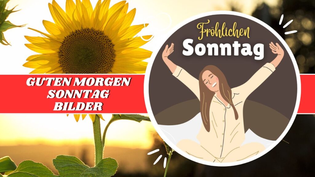110+ Guten Sonntag Bilder Erholsame Grüße